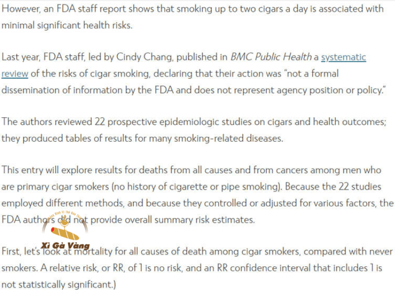 Nhiều người thường nhầm lẫn giữa xì gà và thuốc lá